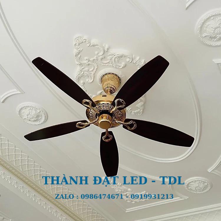 Quạt trần trang trí DCT Fan 201 cánh gỗ plywood 5 Cánh - Thành Đạt Led
