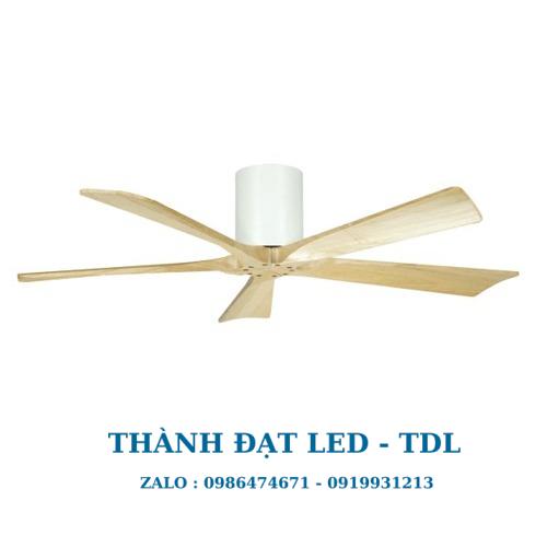Quạt trần trang trí DCT Fan 214 cánh gỗ tự nhiên 5 Cánh - Thành Đạt Led