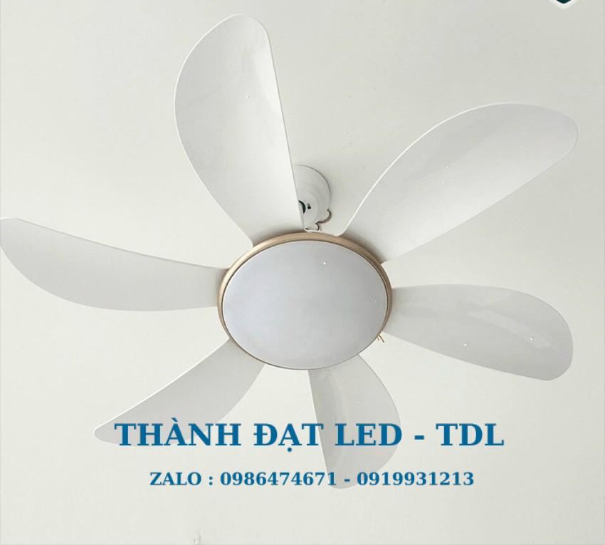 Quạt trần đèn trang trí DCT Fan 219 Nhựa ABS cao cấp 6 Cánh - Thành Đạt Led